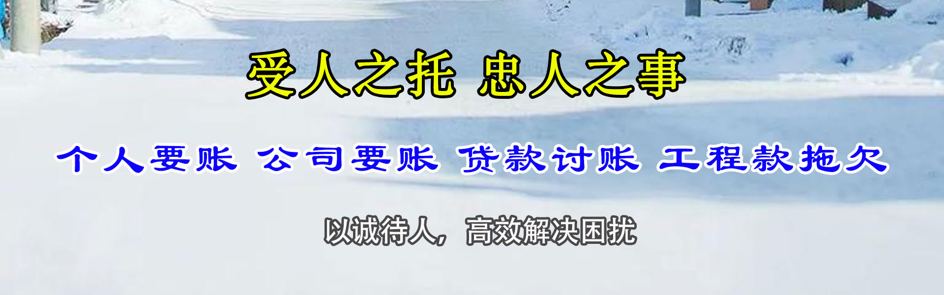 庐阳清债公司